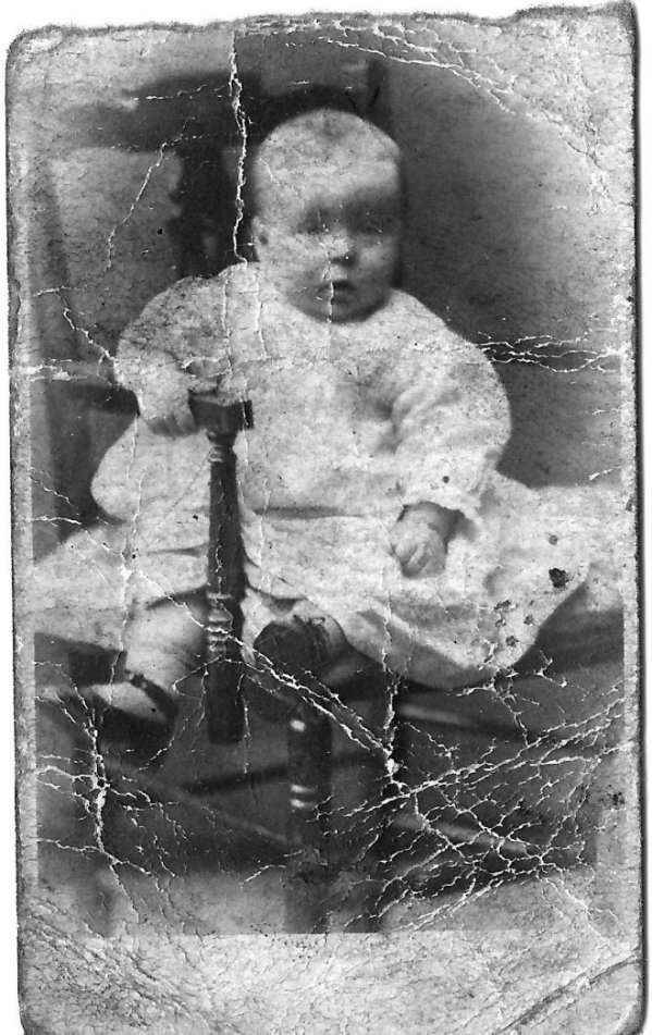 Harry, aged about ??6 - 9 months